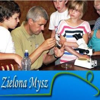 Zielona Mysz