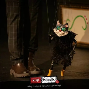 Teatr: Kot w butach - Reżyseria Marcin Marzec