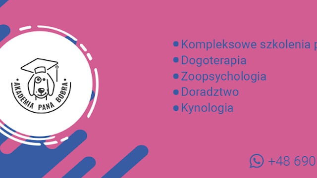 Akademia Pana Bobra