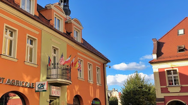 Szkoła Językowa DUAL