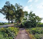 Poranek po wichurze. Służby walczą ze skutkami wtorkowej nawałnicy, która przeszła nad powiatem leszczyńskim