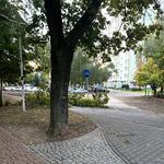 Bez większych szkód