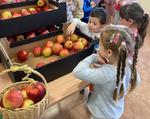 Akcja Jabłuszko w Lesznie podliczona. Podajemy ile pieniędzy zebrano na chore dzieci