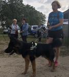 Bieg w psim towarzystwie. Wszystko to działo się, przy schronisku dla bezdomnych zwierząt w Henrykowie