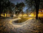 Piękne zaśnieżone Leszno. Ścięty mrozem park przy placu Kościuszki robi wrażenie także po zmroku