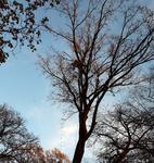 Pielęgnacja dla bezpieczeństwa