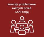 Komisje problemowe radnych przed sesją