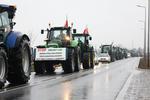 Rolniczy protest zablokował Leszno w piątek 9 lutego 2024. Ciągniki na rondach i skrzyżowaniach