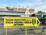 Stadionowe przyśpiewki i pola w centrum. Co zostało po rolniczym Lesznie?