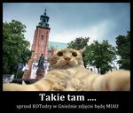 Śmieszki heheszki! Oto najlepsze memy o miastach w Wielkopolsce. Internauci śmieją się z Kalisza, Ostrowa, Poznania i Gniezna. Zobacz!