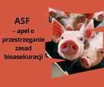 Zapobieganie ASF w Wielkopolsce - ważne informacje