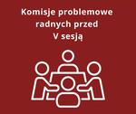 Komisje problemowe radnych przed sesją