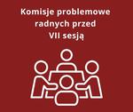 Komisje problemowe radnych przed VII sesją