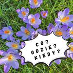 Co na weekend 28.02 - 02.03?