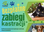 Bezpłatne zabiegi kastracji dla zwierząt