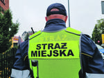 Najwięcej mandatów było za...