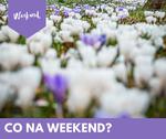 Co na weekend 11 -13 kwietnia?