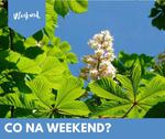 Co na weekend 9 - 11 maja?