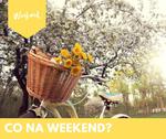 Co na weekend 16 - 18 maja?
