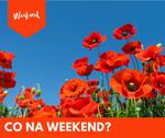Co na weekend 6 - 8 czerwca?