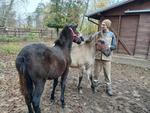 Nowi mieszkańcy w w Mini Zoo w Lesznie