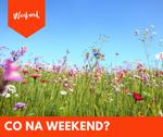 Co na weekend 13 - 15 czerwca?