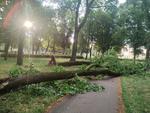 Sprzątanie po czwartkowej burzy w Lesznie
