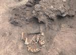 Znaleziono rytualną ofiarę na stanowisku archeologicznym w Zaborowie