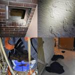 Sprawca włamań do domów zatrzymany przez policjanta na gorącym uczynku