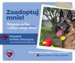Niezwykła Rosa szuka swojego człowieka
