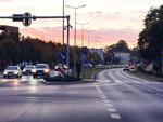Nowe nasadzenia jeszcze tej jesieni
